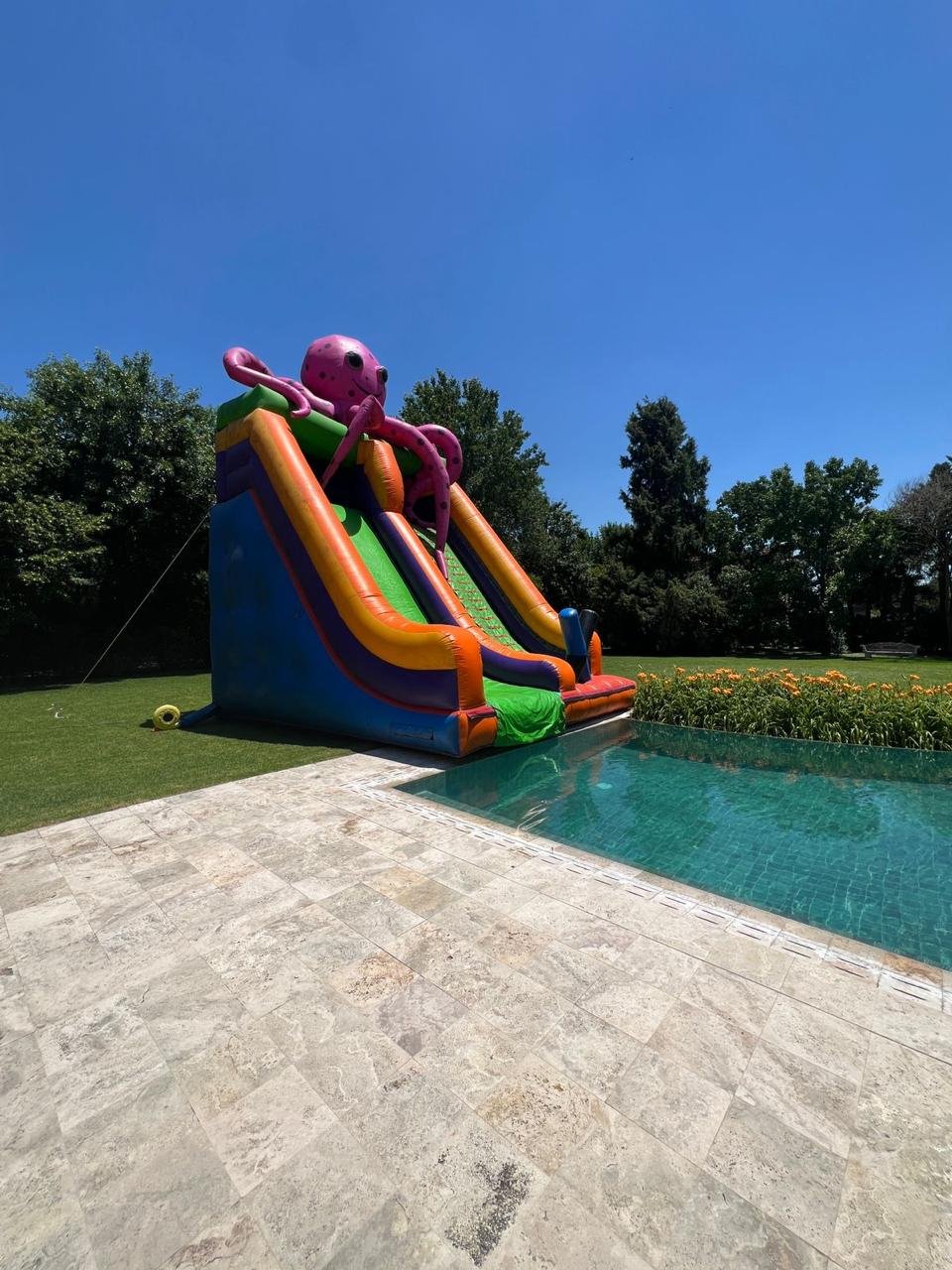 WhatsApp Image 2026-03-11 at 18.44.57 (1)